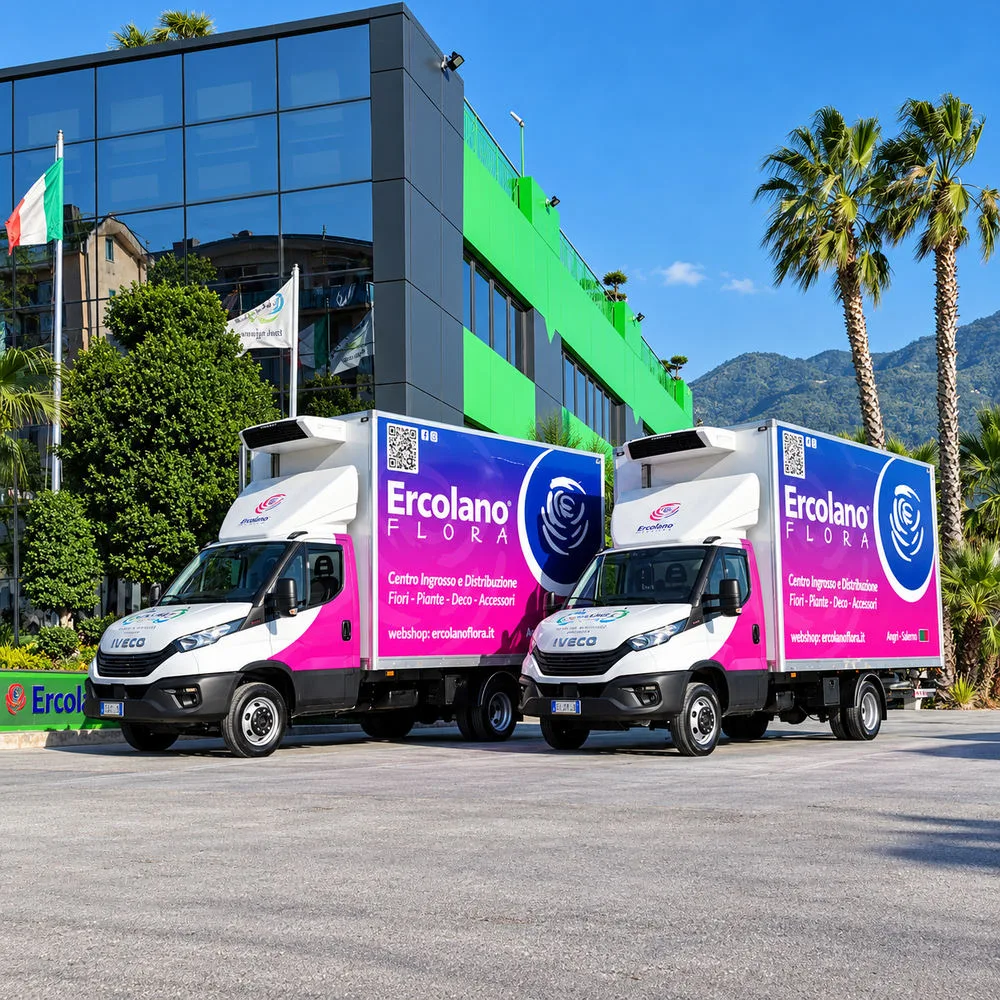 Furgone Loginet Iveco Daily, vista frontale
